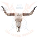 Hosszúszarvú koponya