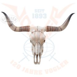 Hosszúszarvú koponya