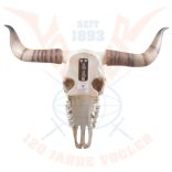 Hosszúszarvú koponya