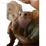 Pixie mókussal a karján
