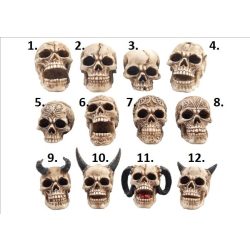 Kis koponya dísz /db