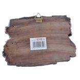 Koponyás fali kulcstartó