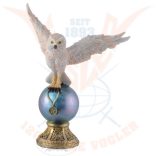  Bagoly a földgömbön