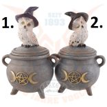 Varázslatos hóbagoly az üstön