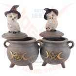 Varázslatos hóbagoly az üstön