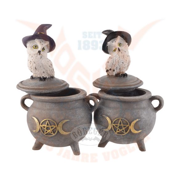 Varázslatos hóbagoly az üstön