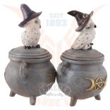 Varázslatos hóbagoly az üstön