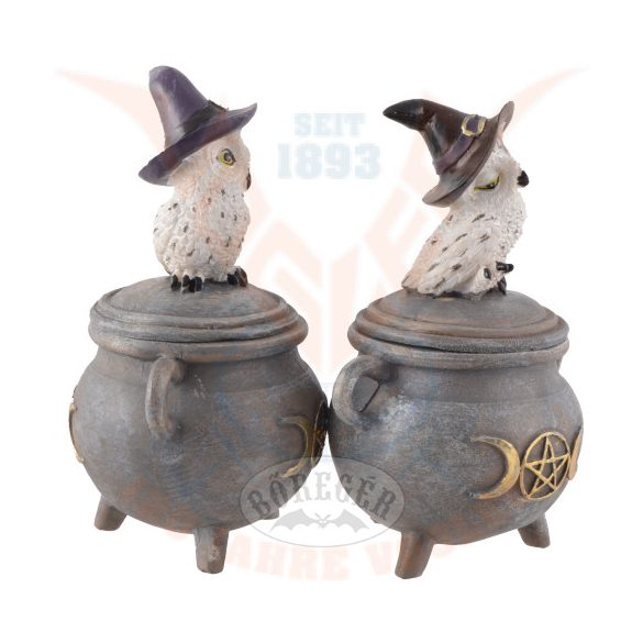 Varázslatos hóbagoly az üstön