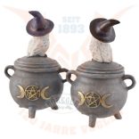 Varázslatos hóbagoly az üstön