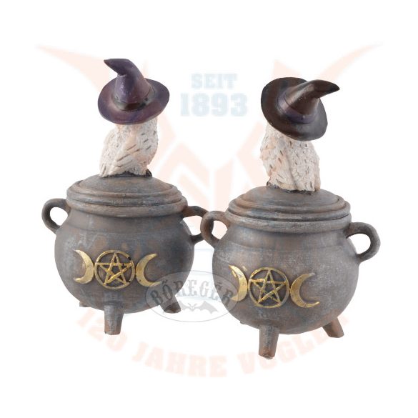 Varázslatos hóbagoly az üstön