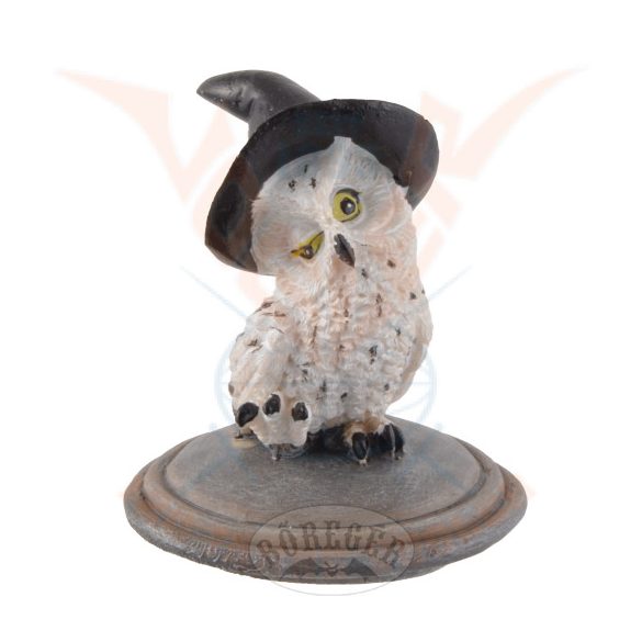 Varázslatos hóbagoly az üstön