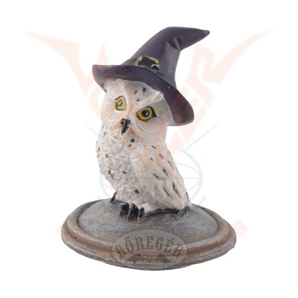 Varázslatos hóbagoly az üstön