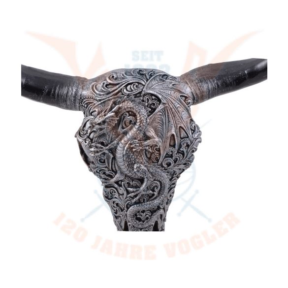 Bikakoponya sárkány díszítéssel