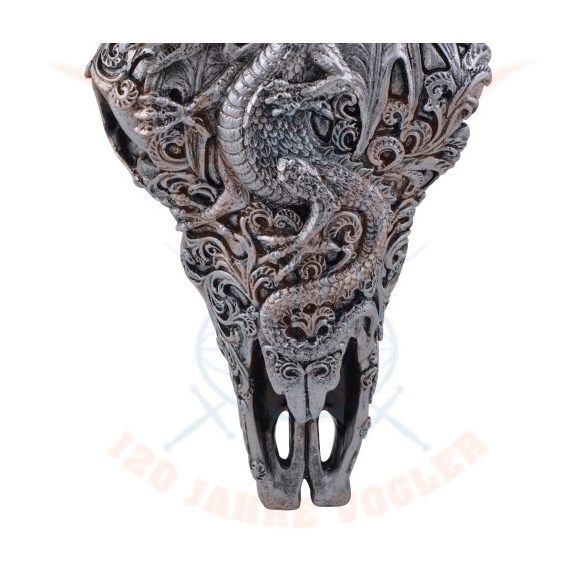 Bikakoponya sárkány díszítéssel