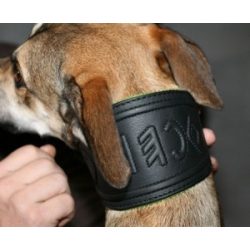 Rovásírással díszített nyakörv