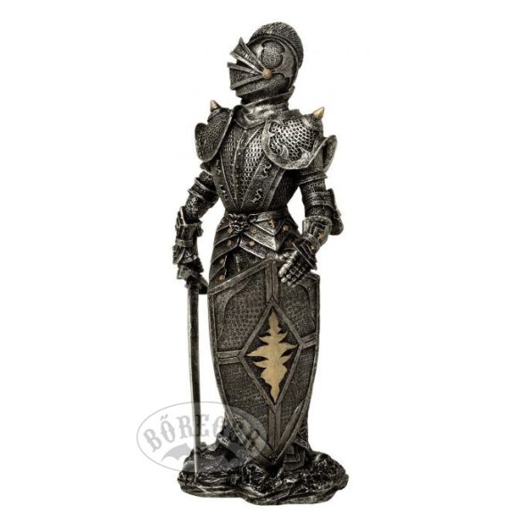  Lovag karddal és pajzzsal