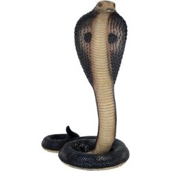 Kobra kígyó szobor