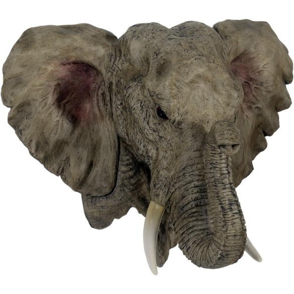 Elefánt fej