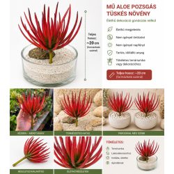 Élethű mű aloe szukkulens növény dekor