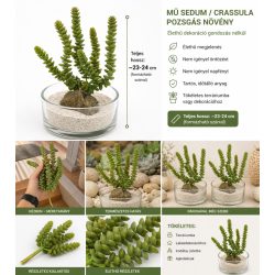 Mű Sedum Crassula pozsgás növény láncszerű levelekkel, real touch, 23-24 cm