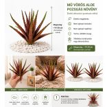 Mű Aloe pozsgás növény – tüskés, real touch, hajlítható (~19–20 cm)