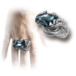 Földi élvezetek gyűrű